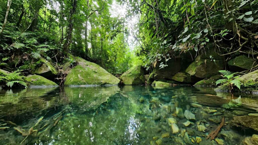 Lagoa Azul – Cachoeiras de Macacu – Rio de Janeiro