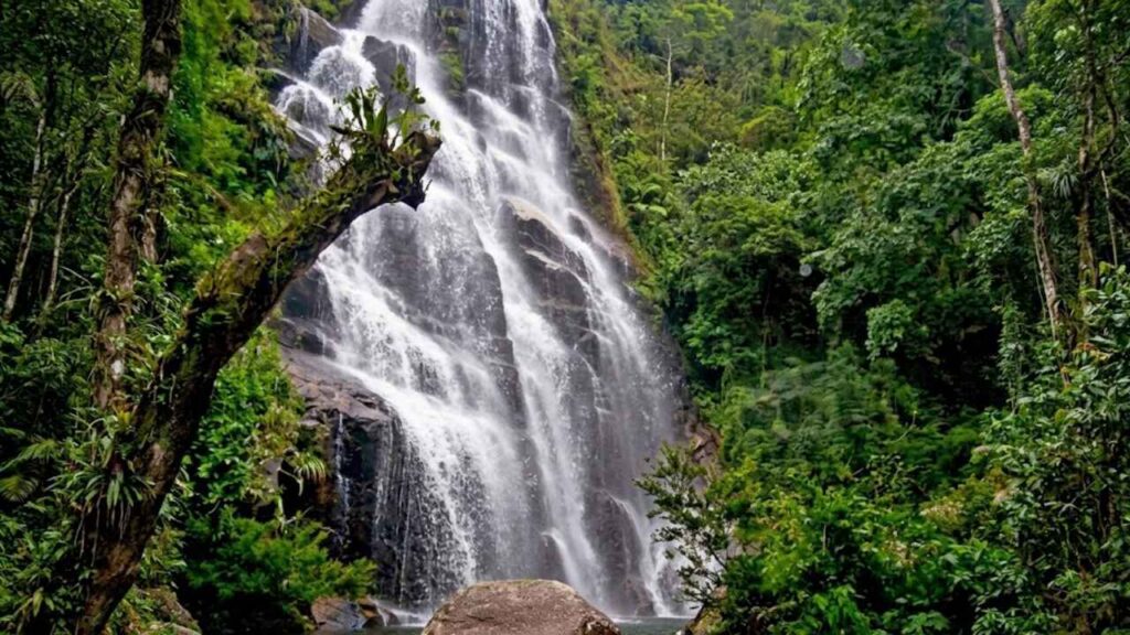 Parque Nacional do Itatiaia – Agulhas Negras