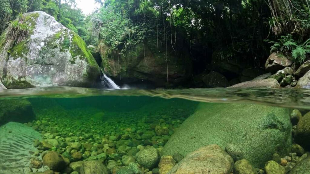 Poço Verde – Parque Nacional da Serra dos Órgãos – Guapimirim – RJ