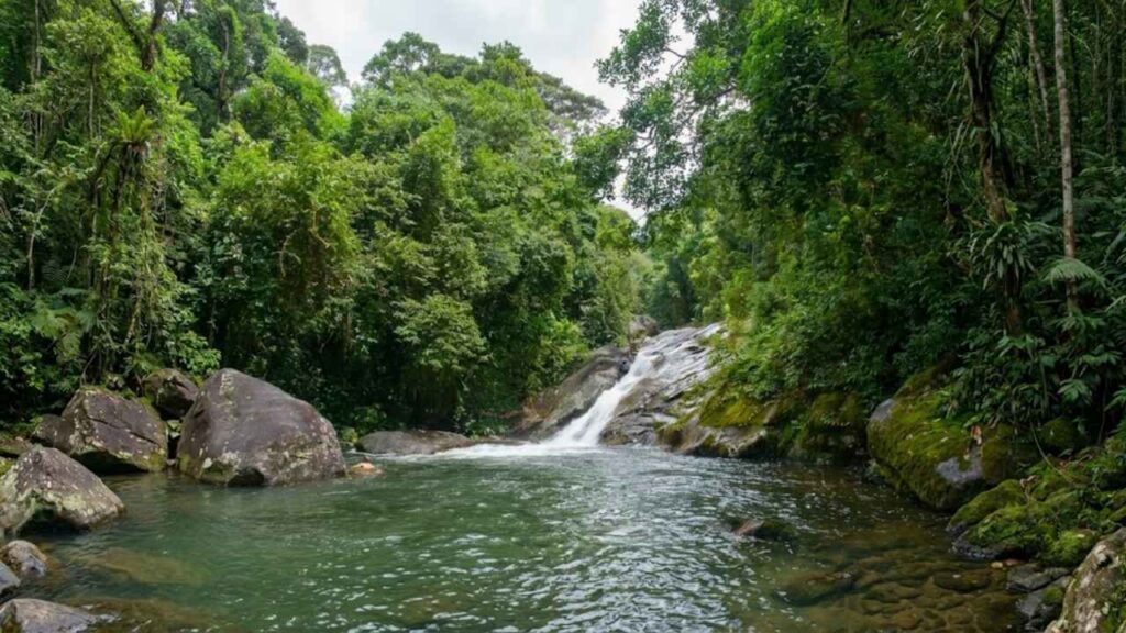 Vale do Pavão – Visconde de Mauá