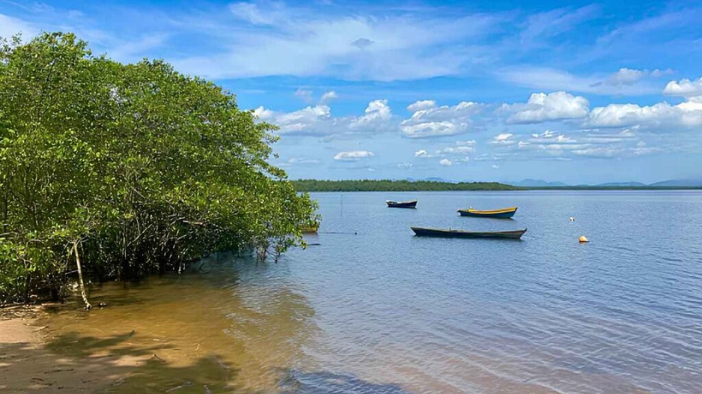 7 paraísos naturais em Guapimirim que parecem estar longe do Rio de Janeiro (2)