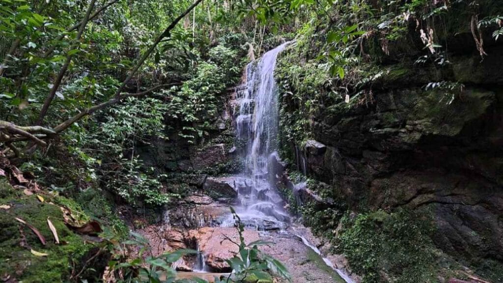 Esta cachoeira pouco conhecida é uma das joias escondidas do Rio (Cachoeira das Almas – Parque Nacional da Tijuca)