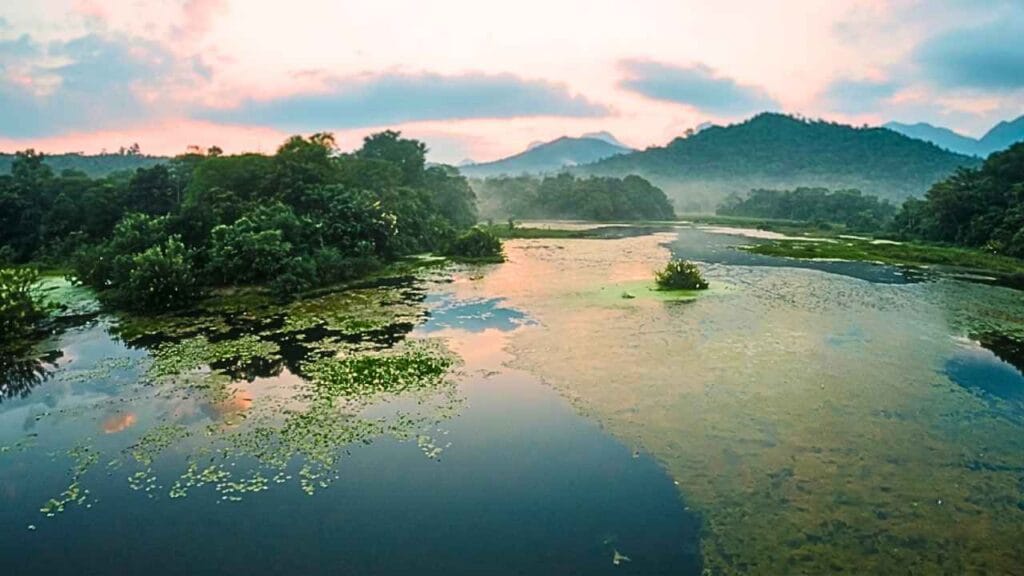 Esta reserva natural esconde cenários que poucos turistas conhecem (Reserva Ecológica de Guapiaçu – Cachoeiras de Macacu)