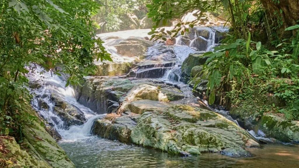 O destino surpreendente que prova que o Rio ainda guarda lugares secretos para descobrir (Parque Estadual da Pedra Branca – Rio de Janeiro)