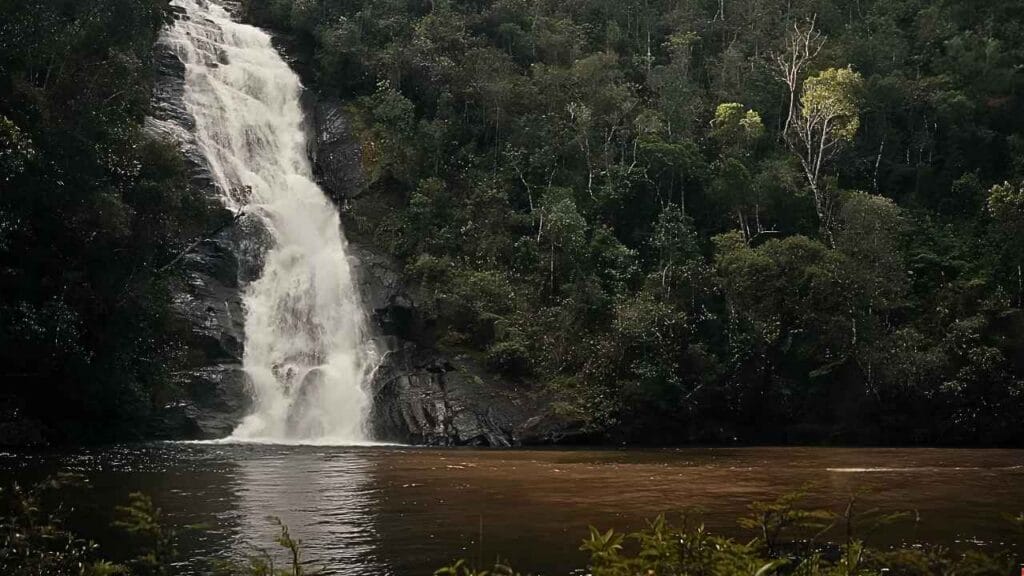 O roteiro perfeito para descobrir paisagens surpreendentes perto do Rio (Serra da Bocaina – Paraty)